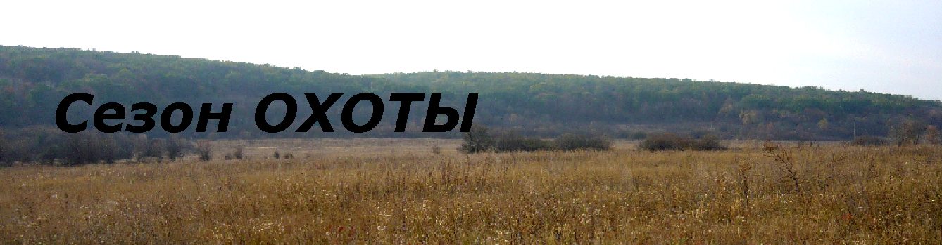 Сезон охоты
